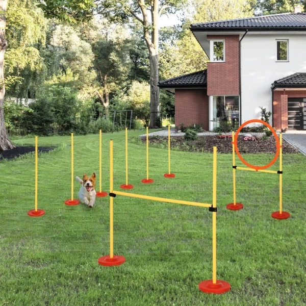  Dog Agility Set 3-in-1 Pet Training Set, Inclusief Tas, Gemakkelijk Mee Te Nemen, Geel 2