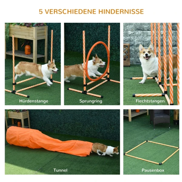  Dog Agility Set Hondentrainingsset Met Hondentunnel Training Voor Huisdieren Inclusief Tas Makkelijk Mee Te Nemen Muovi Polyesteri Oranje＋Wit 4