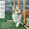  Dog Agility Set Hondentrainingsset Met Hondentunnel Training Voor Huisdieren Inclusief Tas Makkelijk Mee Te Nemen Muovi Polyesteri Oranje＋Wit 7