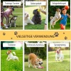  Dog Agility Set Met 4 Obstakels Rood+Geel 5