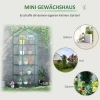  Foliekas Mini Broeikas Met 5 Planken Voor Het Kweken Van Bloemen Of Groenten Broeikas Transparant+groen Staal Kunststof 69 X 49 X 193 Cm 6
