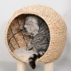  Kattenkrabpaal Kitten Meubel Met Kattenhol Balspeelgoed Sisal Zacht Pluche Hoogte 100 Cm Beige 8
