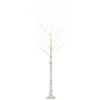  Kunstboom, Kunstberk, Met LED-verlichting, Warm Wit, Realistisch Witte Schors, 22 X 22 X 180 Cm 1