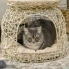  PE Rotan Kattenhuis 2 Niveaus Kattenhol Met Kussen 42cm X 42cm X 40cm Beige 4