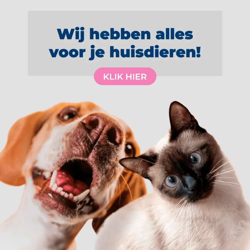 Kat Hond Huisdieren Spullen Truusk.com 1