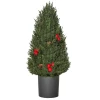 Minikerstboom Met Rode Bessen En Dennenappels, Inclusief Plantenbak 27 Cm X 27 Cm X 47 Cm, Veelkleurig 1