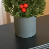 Minikerstboom Met Rode Bessen En Dennenappels, Inclusief Plantenbak 27 Cm X 27 Cm X 47 Cm, Veelkleurig 7
