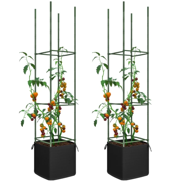 Trellis Set Van 2, Met Tas, Verstelbare Niveaus, Roestvrij Staal, 33x33x180 Cm, Groen 10