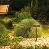 Tuinverlichting Op Zonne-energie, Waterdicht, Warmwitte LED, Brandduur 10-12 Uur, Zwart 2