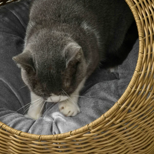 Rotan Kattenmand, Kattenhuis, Kattenhuis Met Kussen Voor Katten Tot 4 Kg, Huisdierbed, Kattengrot, Binnen, PE Rotan, 50 X 31 Cm, Lichtbruin 8