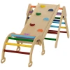 5-in-1 Kinderspeeltoestel Met Helling, Brug, Driehoekige Ladder, 18-48 Maanden, Kleurrijk, 1