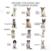 Afscheidingshek Hond 6 Delig, 432 X 70 Cm Opvouwbaar Deurbeschermingshek Met 2 Steunvoeten, Vrijstaand Hondenhek, Traphek Voor Middelgrote Honden, Voor Gang, Trap, Koffie 5