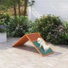 Honden Agility Stap Agility Uitrusting Voor Honden Met Inklapbare Brug, Antislip Oppervlak In Hoogte Verstelbaar Agility Apparaat Voor Tuin, 173 X 59 X 66 Cm, Oranje 2