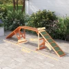 Honden Agility Traptrede Agility Uitrusting Voor Honden Met Veiligheidsstang, Antislip Oppervlak Agility Apparaat Voor Tuin, 325 X 55 X 69 Cm, Oranje 4