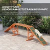 Honden Agility Traptrede Agility Uitrusting Voor Honden Met Veiligheidsstang, Antislip Oppervlak Agility Apparaat Voor Tuin, 325 X 55 X 69 Cm, Oranje 5