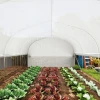 Kas 6 X 3 X 2 M Foliekas Met 8 Ramen & Deur, Oprolbare Zijwanden, Uv Bestendige Folietunnel Tomatenkas Met Verzinkte Stalen Frame, Wit 10