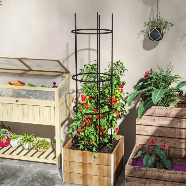 Klimhulp 4 Niveaus Plantenhouder Tomatenkooi Zwart Staal Voor Tuin Balkon 9