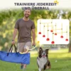 Agility Set Honden 5 Delig Vulbaar Agility Uitrusting Voor Hondentraining Steekhindernisset Met In Hoogte Verstelbare Hindernissen Draagtas Trainingsaccessoires Coördinatietraining Voor Spellen Training 7