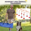 Agility Set Honden 5 Delige Vulbare Agility Uitrusting Voor Hondentraining Steekhindernisset Met Verstelbare Agility Deuren Draagtas Trainingsaccessoires Coördinatietraining Voor Spellen Training 6