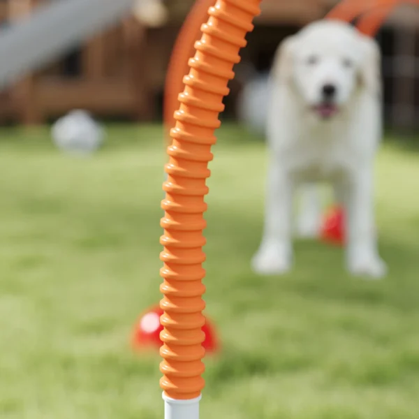 Agility Set Honden 5 Delige Vulbare Agility Uitrusting Voor Hondentraining Steekhindernisset Met Verstelbare Agility Deuren Draagtas Trainingsaccessoires Coördinatietraining Voor Spellen Training 9