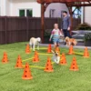 Agility Set Honden 6 Delige Agility Uitrusting Voor Hondentraining Steekhindernisset Met 12 Kegels 6 In Hoogte Verstelbare Hindernissen Draagtas Trainingsaccessoires Coördinatietraining Voor Spellen Training 2