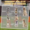 Agility Set Honden 6 Delige Agility Uitrusting Voor Hondentraining Steekhindernisset Met 12 Kegels 6 In Hoogte Verstelbare Hindernissen Draagtas Trainingsaccessoires Coördinatietraining Voor Spellen Training 9