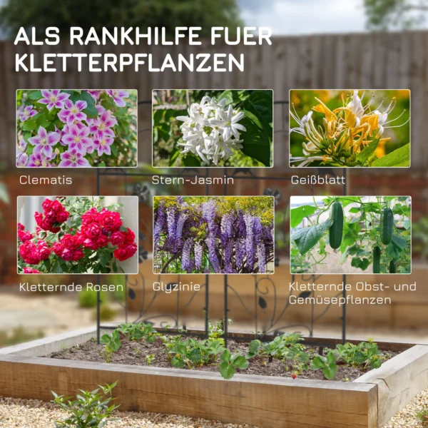 2 set klimrek tuin 38b x 98h cm van metaal met klaverblad en vogelvormen voor klimplanten roestvrij zwart voor tuin balkon hof 5