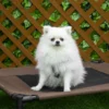 Buiten hondenbed stevige hondenligstoel 76x61x18cm gemaakt van 600d oxford in bruin voor honden & katten 8