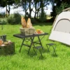 Campingtafel in hoogte verstelbaar klaptafel met metalen rooster opvouwbare tuintafel van aluminium licht multifunctionele tafel bijzettafel voor tuin balkon camping 90 x 40,5cm zwart 8