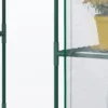 Foliekas bevaarbaar tomatenkas 142x73x195cm met 6 planken, transparant voor tuin & planten 9
