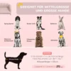 Hondenbank, wasbare hoes, huisdierenbank met rugleuning en houten poten, kattenbank, voor middelgrote honden onder 25 kg, roze 7