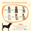 Hondenkooi voor thuis, afsluitbare hondenhok met ingang, hondenbox met schuifdeur, hondenhuis voor grote honden onder 30 kg, grijs, 98 x 58 x 61 cm 5