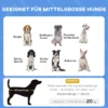 Huisdierbed buiten met baldakijn, verhoogd, netstof, uv bescherming, donkerblauw, voor middelgrote honden 5