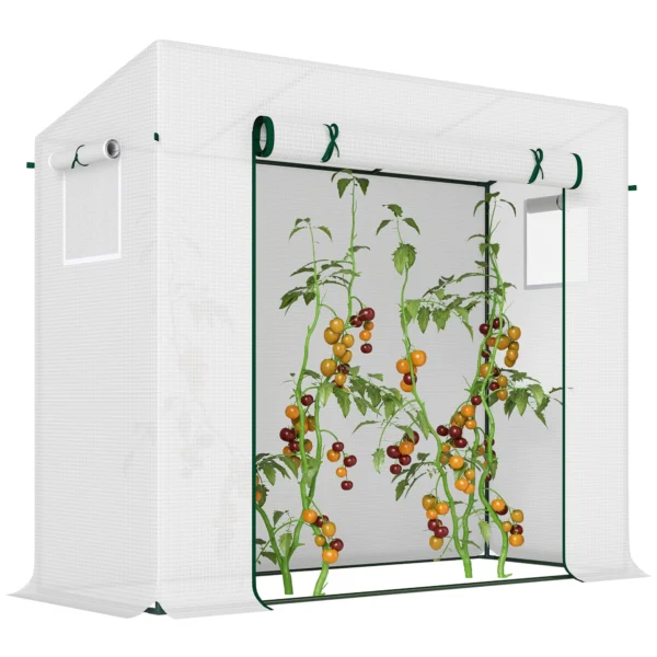 Kas foliekas 200x68x196cm met roldeur & zijraam, winddicht, staal & pe, ideaal voor tuinplanten 1