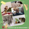 Krabmat wand 2 delige set bloempotvorm van jute touw met haak, cactus ontwerp, katten krabmat, wit+groen 30 x 60cm 8