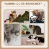 Krabpaal 98cm stabiele kattenboom met krabplank, kattenhol & 3 platformen, grijze en witte kattenmeubels 8