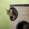 Krabton pluche ontwerp 3 niveaus met 3 grotten en sisal touw kraboppervlak 38 x 38 x 70 cm grijs voor katten 10