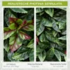 Kunstmatige plantenwand 12 stuks 50 x 50 cm privacy rhododendronbladeren ontwerp haagplant voor tuin buiten groen rood 5