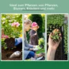 Kweekkas broeikas 102x71x53cm met weerbestendige hout polycarbonaat dekking voor tuin & plantenverzorging 8