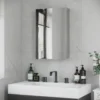 Spiegelkast, badkamerkast met 3 niveaus, medicijnkast voor badkamer, slaapkamer, roestvrij staal, zilver, 39 x 12 x 60 cm 2