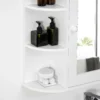 Spiegelkast badspiegel wandmontage hangkast met 8 vakken multifunctionele kast wit 66x17x63cm voor badkamer 9