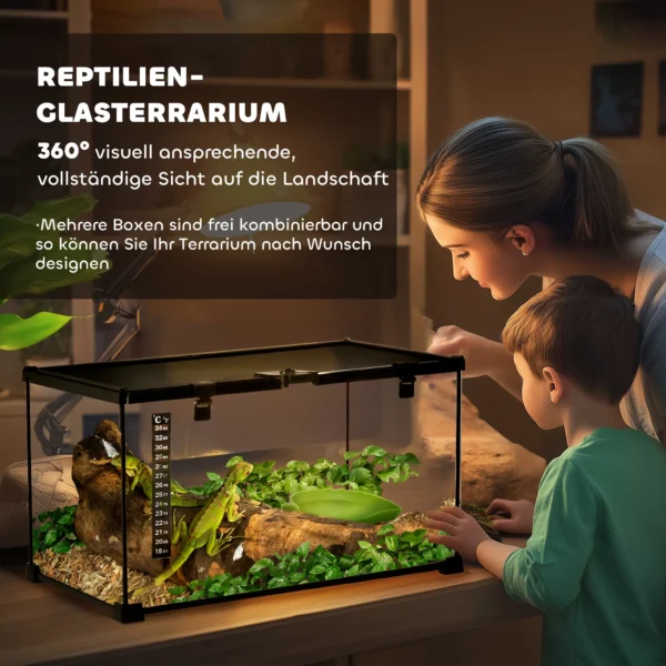 Terrarium voor reptielen reptiel voederbak glazen terrarium amfibieën spinnen met thermometer reptielenkweekbak 50 x 30 x 25 cm 5