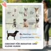 2 in 1 hondenwagen hondenbuggy opvouwbaar voor honden & katten tot 10 kg kattenbuggy met kussen, netvensters, deuren, opbergmand, kattenwagen buggy donkergroen 5