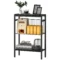 Bijzettafel kleine salontafel met 2 planken, nachtkastje sofatafel met stalen frame voor woonkamer, slaapkamer, zwart 1