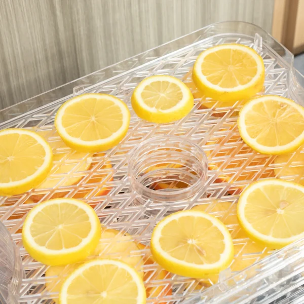 Droogapparaat met 5 lagen en temperatuurregelaar 35 70°c, 12 uur timer voor vlees & fruit, roestvrij staal zilver & transparant, 32x25x29cm 10