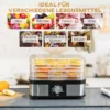 Droogapparaat met 5 lagen en temperatuurregelaar 35 70°c, 12 uur timer voor vlees & fruit, roestvrij staal zilver & transparant, 32x25x29cm 5