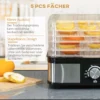 Droogapparaat met 5 lagen en temperatuurregelaar 35 70°c, 12 uur timer voor vlees & fruit, roestvrij staal zilver & transparant, 32x25x29cm 6
