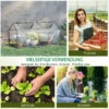 Foliekas met venster, pvc broeikas 120x60x60 cm, transparant tomatenhuis & kweekbed voor planten 8