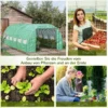 Foliekas polytunnel 6x3x2m met uv bescherming, beloopbaar, oprolbare stalen buisafdekkingen, groen 7