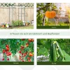 Kas broeikas tomatenkas 100x50x150cm met oprolbare deur, staal & kunststof, transparant voor plantenteelt 7